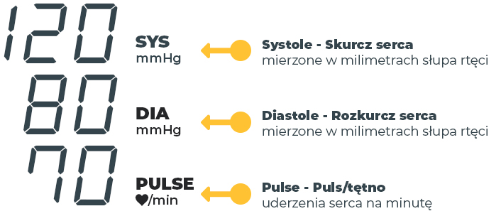 Infografika informacji wyświetlanych na ciśnieniomierzu